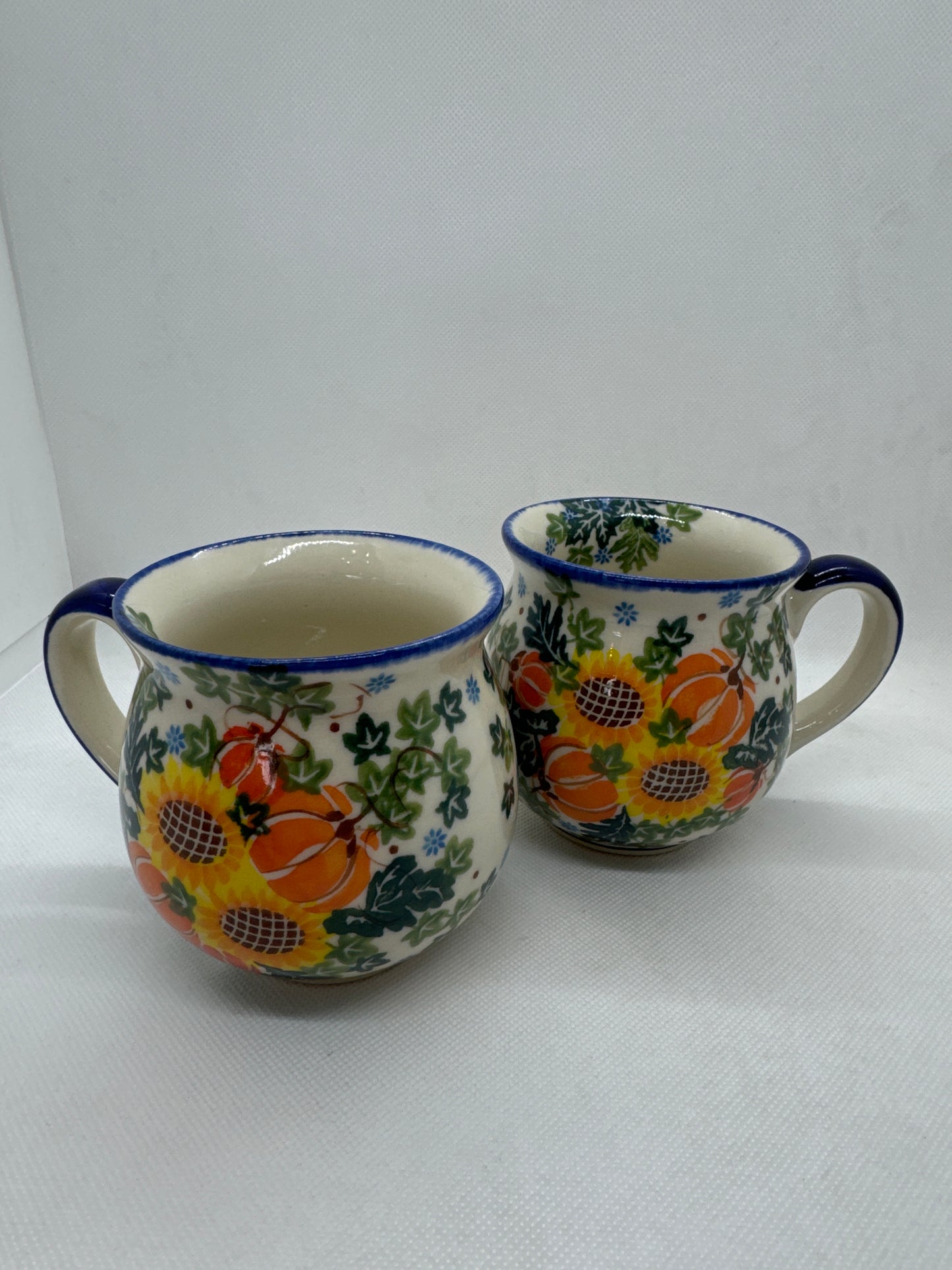 KALICH Pumpkin Delight Bubble Mug 8 oz