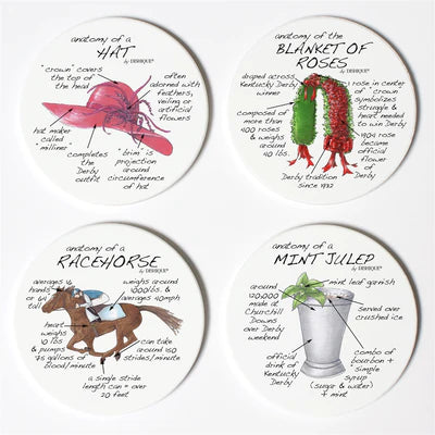 Derby Anatomy Coasters