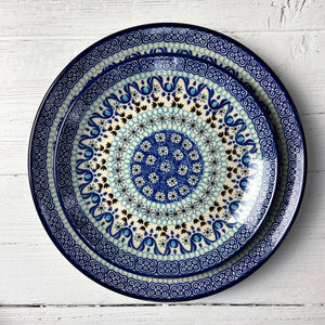 Frozen Dinner Plate 10"