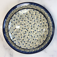 Load image into Gallery viewer, Delicate Dinner Plate 10&quot;