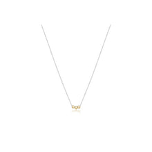 Load image into Gallery viewer, ENewton Sterling 16&quot; Necklace Collection