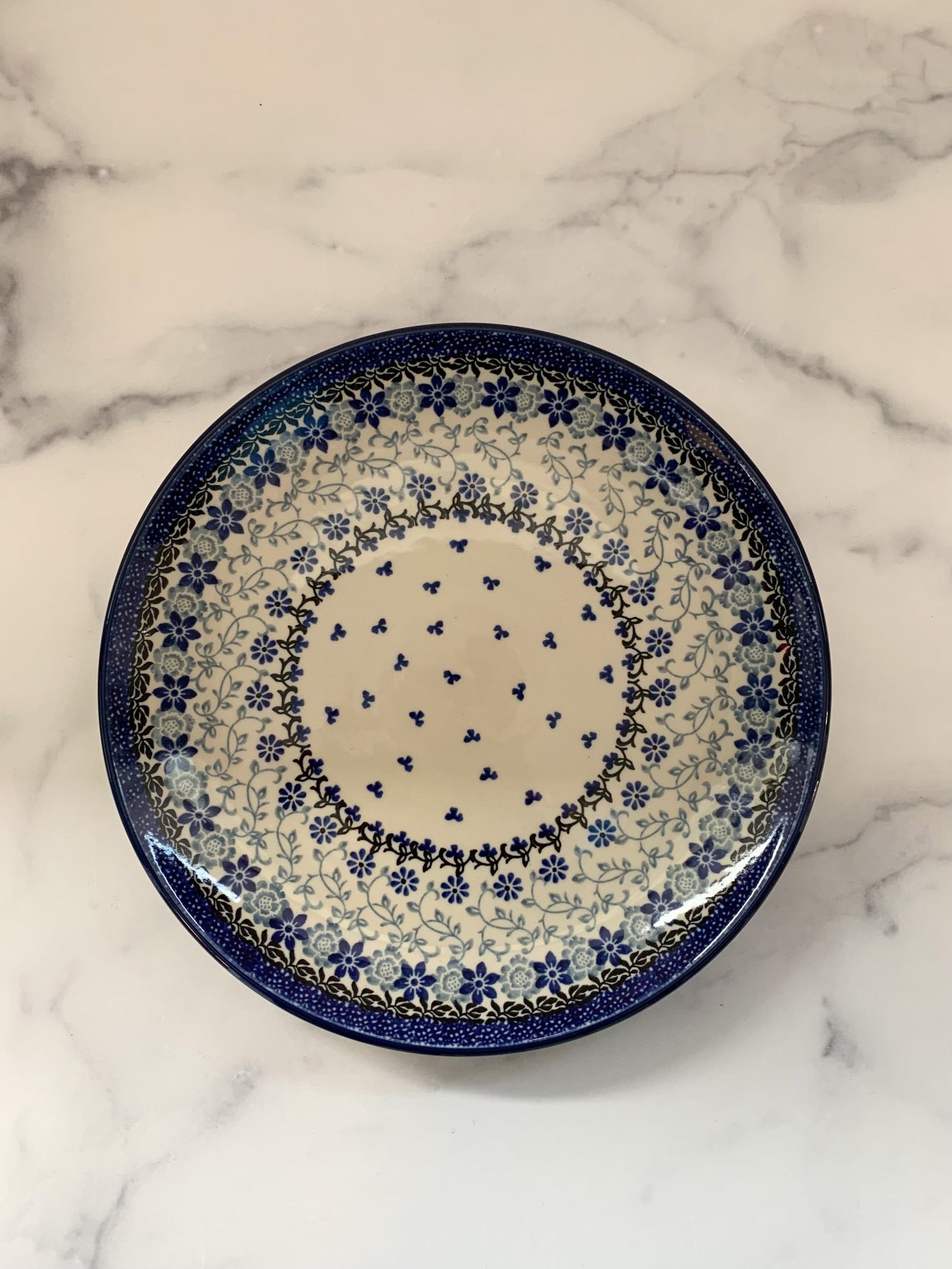 Polish Pottery Dinner Plates